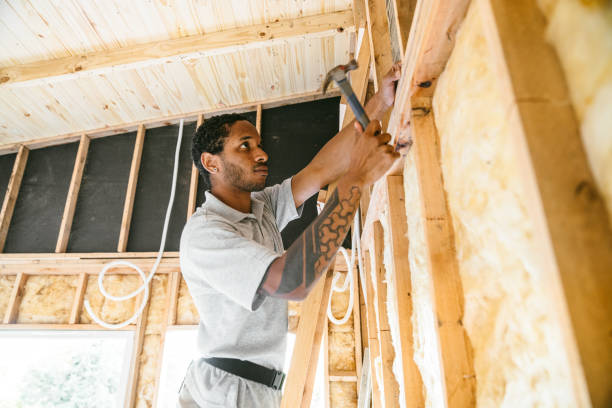 Best Cellulose Insulation  in Brownsville, TN